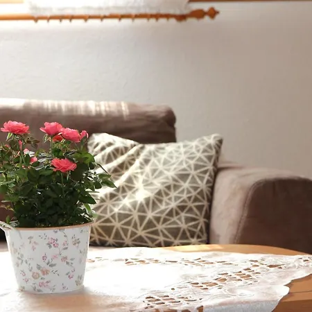 Apartment Niemeier *